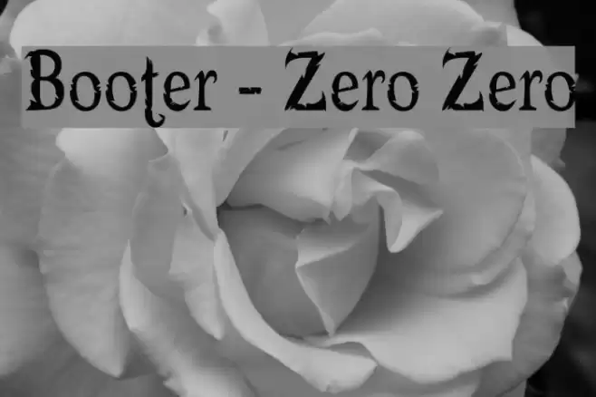Booter - Zero Zero フォント examples