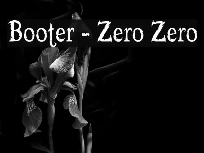 Booter - Zero Zero フォント examples