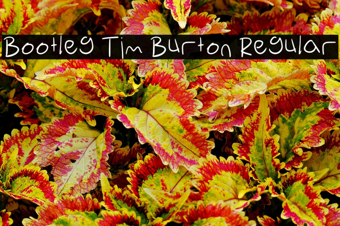 Bootleg Tim Burton Regular Example 1