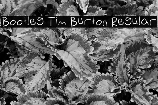 Bootleg Tim Burton Regular Font examples