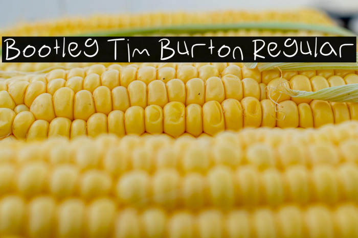 Bootleg Tim Burton Regular Example 3