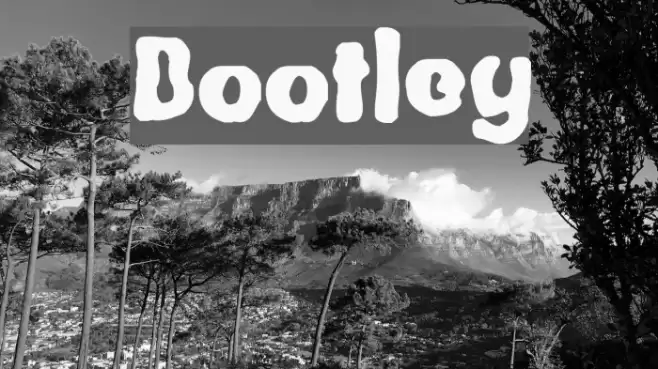 Bootleg Font examples