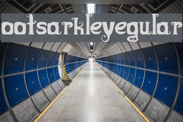 Boots&BarkleyRegular Font examples