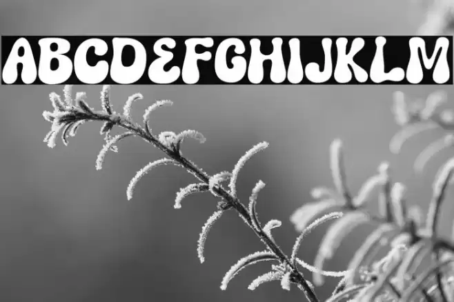 Boowlink PERSONAL USE ONLY! Font examples