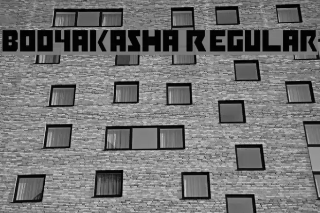 Booyakasha Regular Example 2