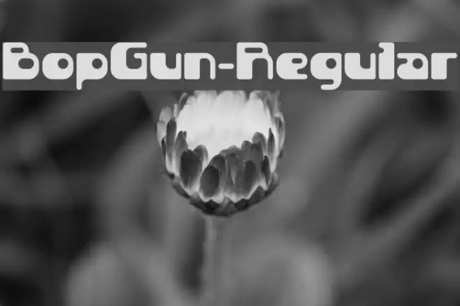 BopGun-Regular Font examples