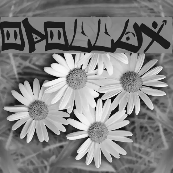 Bopollux Font examples