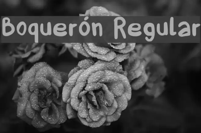 Boquerón Regular Font examples