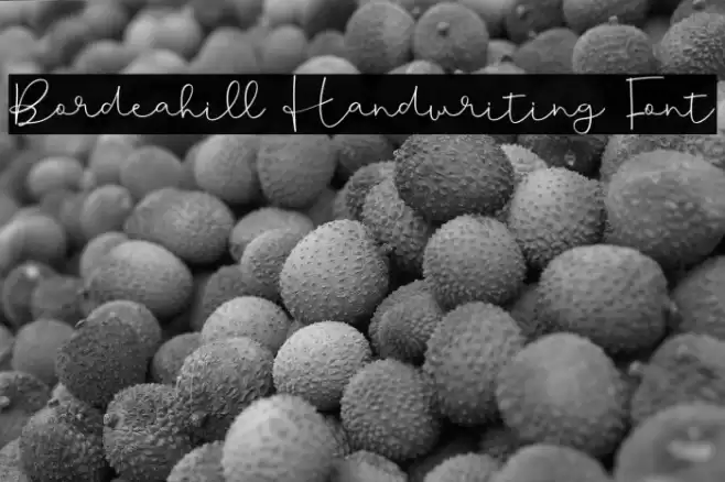 Bordeahill Handwriting Font Шрифта examples