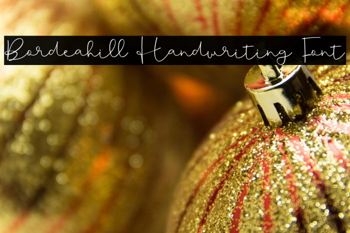 Bordeahill Handwriting Font Example 3