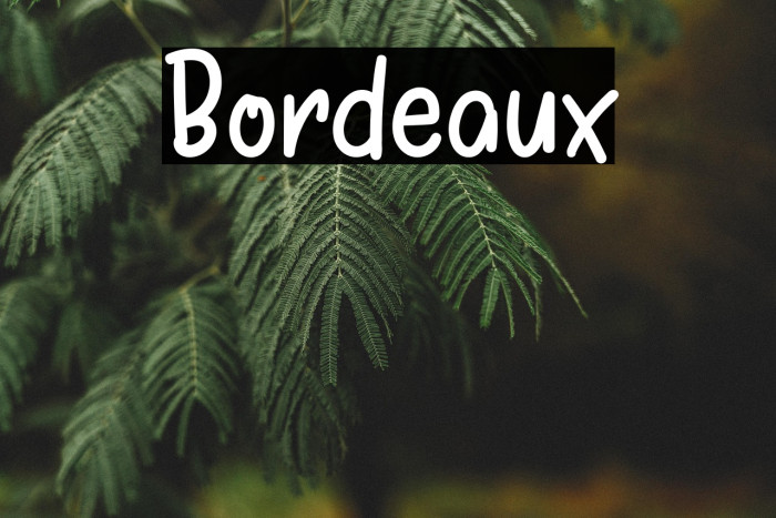 Bordeaux Example 1
