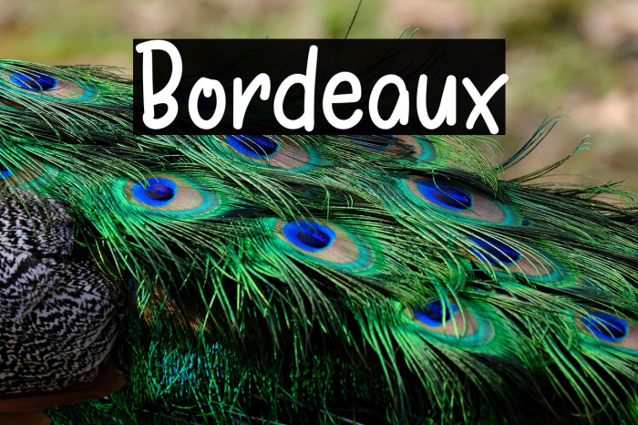 Bordeaux Example 2