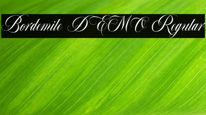 Bordemile DEMO Regular Example 1