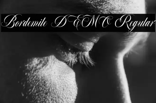 Bordemile DEMO Regular Font examples