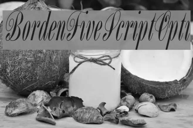 BordenFiveScriptOpti Example 1