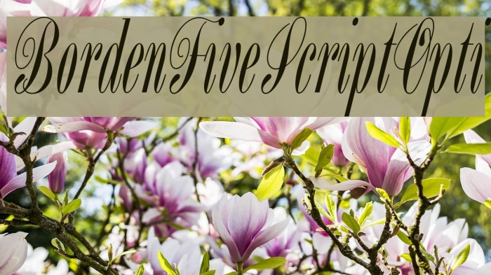 BordenFiveScriptOpti Font examples