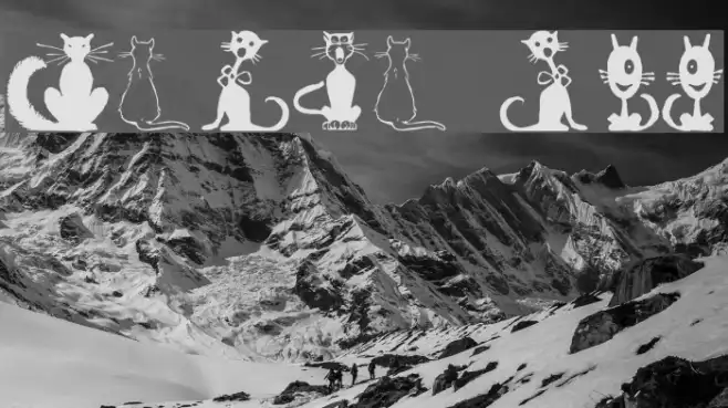 Border Cats Example 1