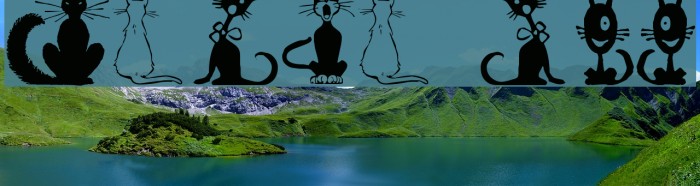 Border Cats Font examples