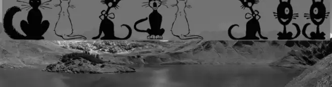 Border Cats Example 2