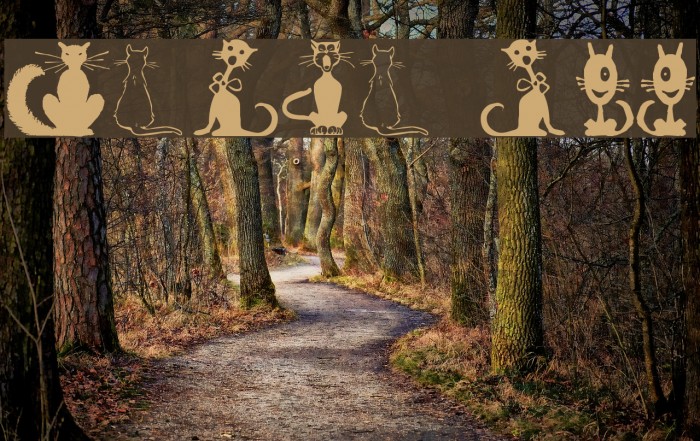 Border Cats Font examples