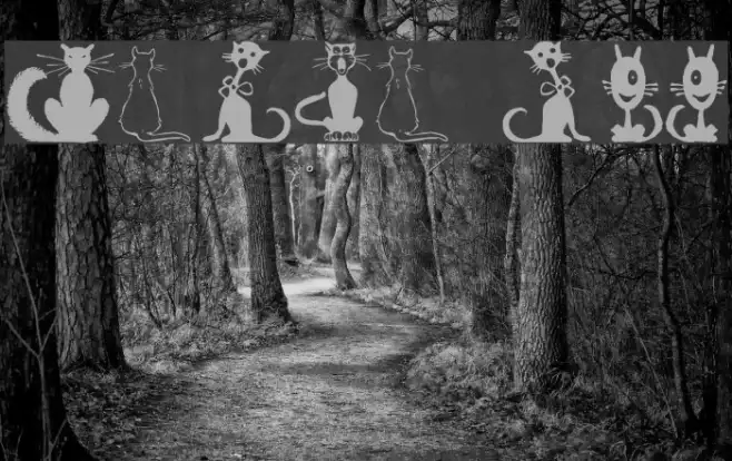 Border Cats Example 3