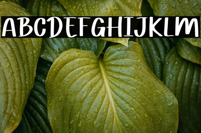 Border Wall Font examples