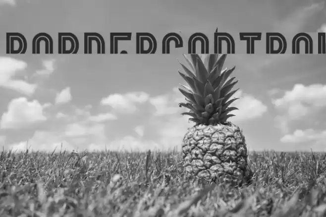 BorderControl Font examples