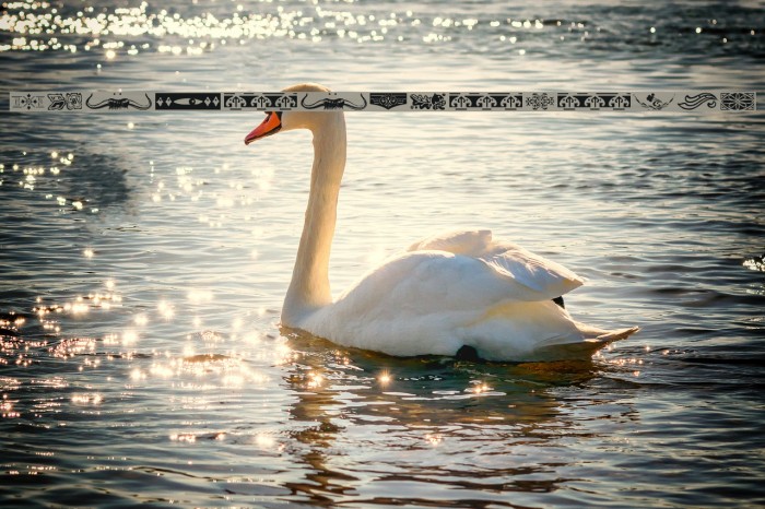 BorderElements Example 3