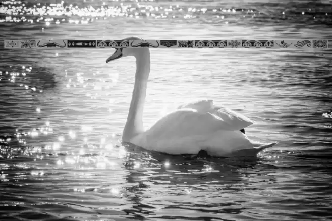 BorderElements Font examples