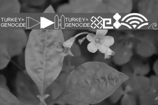 BorderPics Font examples