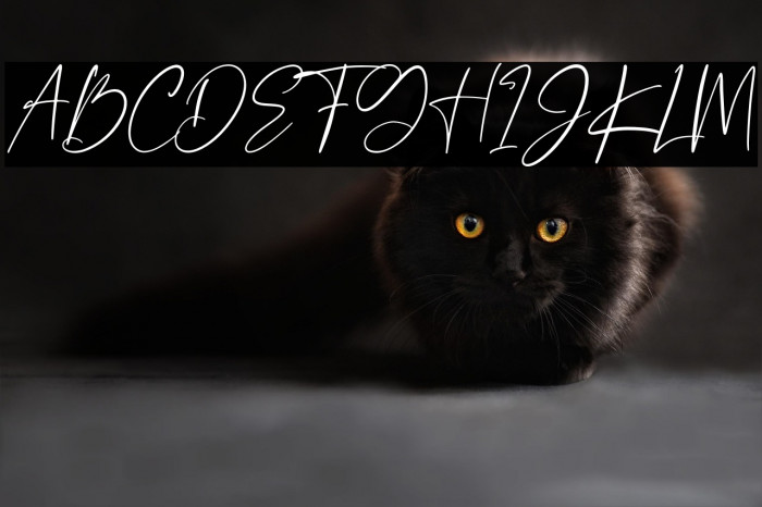 Borderline Example 3