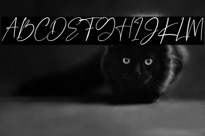 Borderline Font examples