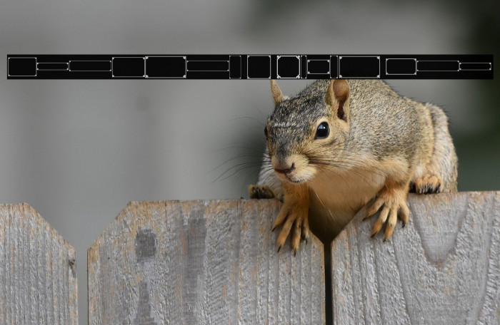 Borders 2 Style Pro Example 1