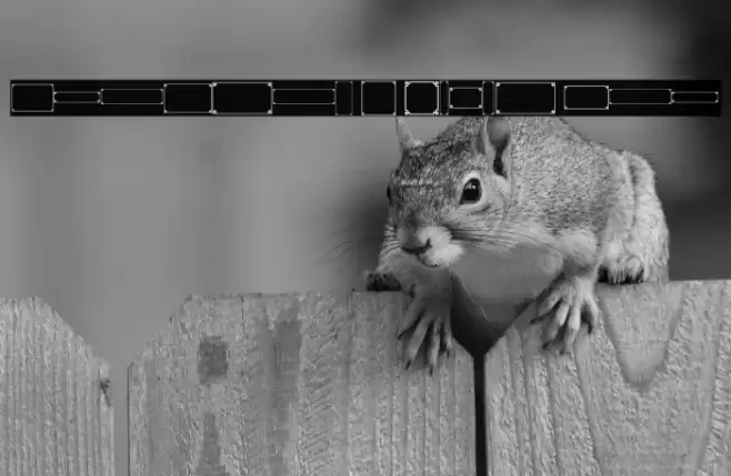 Borders 2 Style Pro Font examples