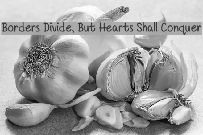 Borders Divide, But Hearts Shall Conquer Font examples