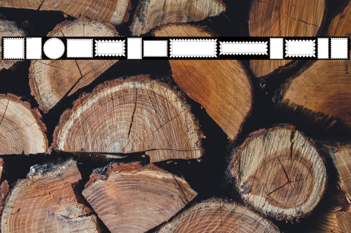 Borders islamic 1444 Example 1