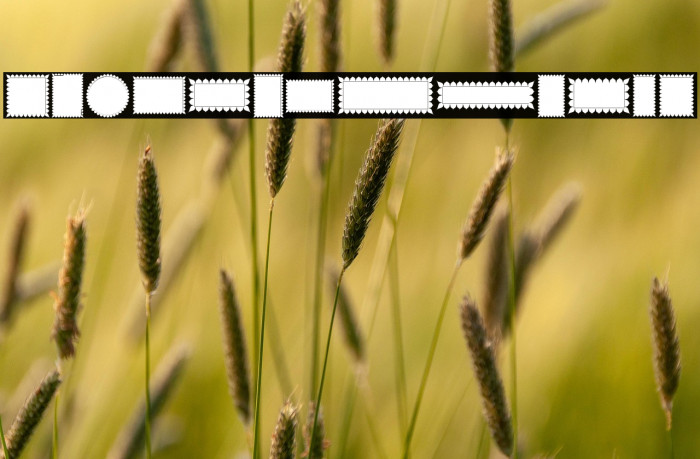 Borders islamic 1444 Example 2