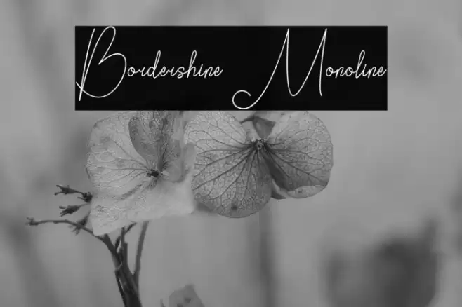 Bordershine Monoline Font examples