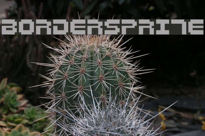 Bordersprite Font examples