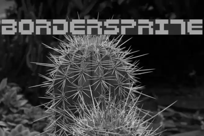Bordersprite Font examples