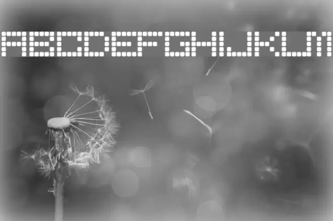 Bored-Regular Font examples