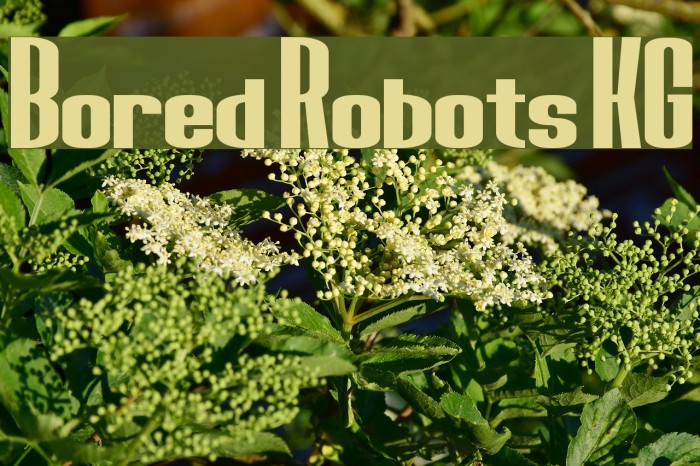 Bored Robots KG Font examples