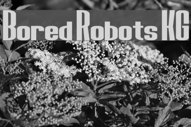 Bored Robots KG Fonte examples