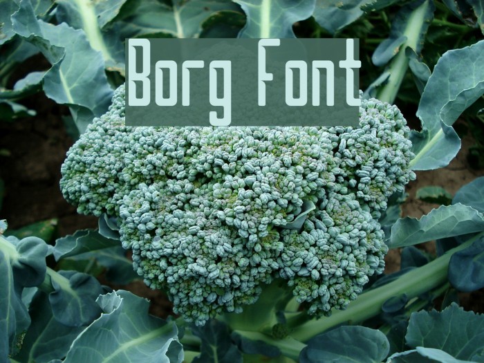 Borg Font - FFonts.net