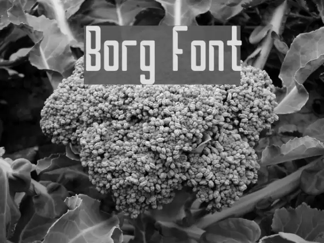 Borg Font examples