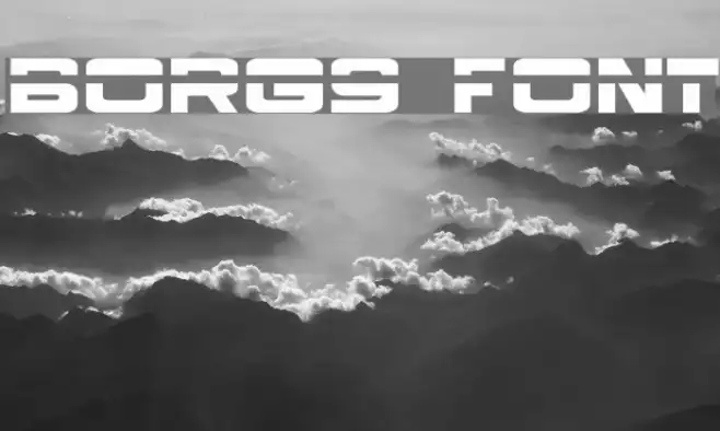 Borg9 Example 1