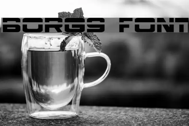 Borg9 Example 2