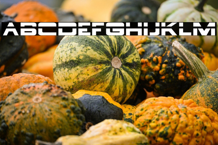 BorgNine-Regular Example 3