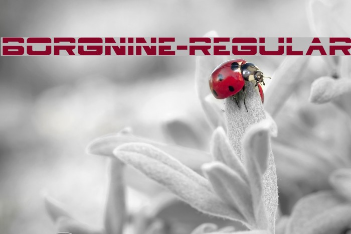 BorgNine-Regular Example 1
