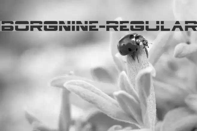 BorgNine-Regular Font examples